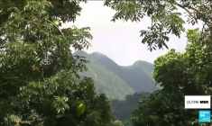 En Nouvelle-Calédonie, une Fête de la citoyenneté sous haute tension