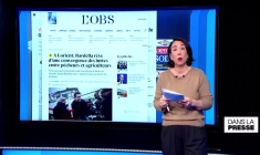 Inscription de l'IVG dans la constitution: "Un symbole pour le monde entier"