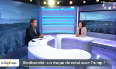 Biodiversité : un risque de recul avec Trump ?
