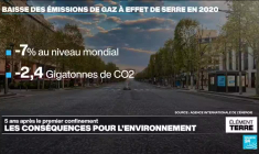 5 ans après: quelles conséquences ont eu les confinements sur l'Environnement?