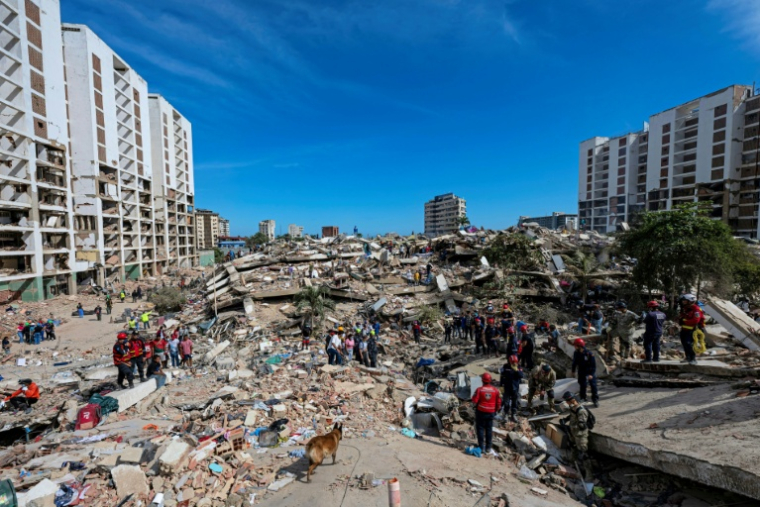 AUn chien de l'équipe argentine de sauvetage recherche des victimes dans les décombres d'un immeuble effondré à Caraballeda, dans l'État de La Guaira le 28 juin 2026, après deux séismes meurtriers au Venezuela séismes ( POOL / Miguel MEDINA )