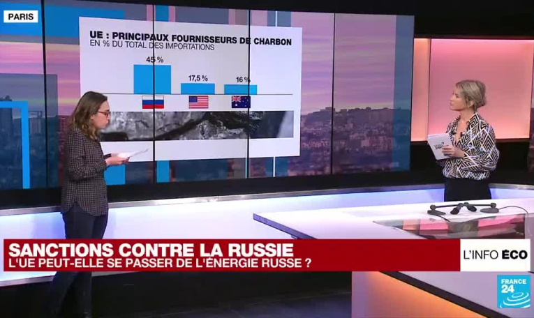 Sanctions contre la Russie : l'UE peut-elle se passer du charbon russe ?