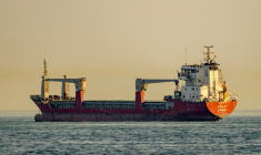 Le cargo Azra C, battant pavillon mongolien, au mouillage dans la mer de Marmara, au large d'Istanbul, le 4 juin 2026 en Turquie ( AFP / Yasin AKGUL )