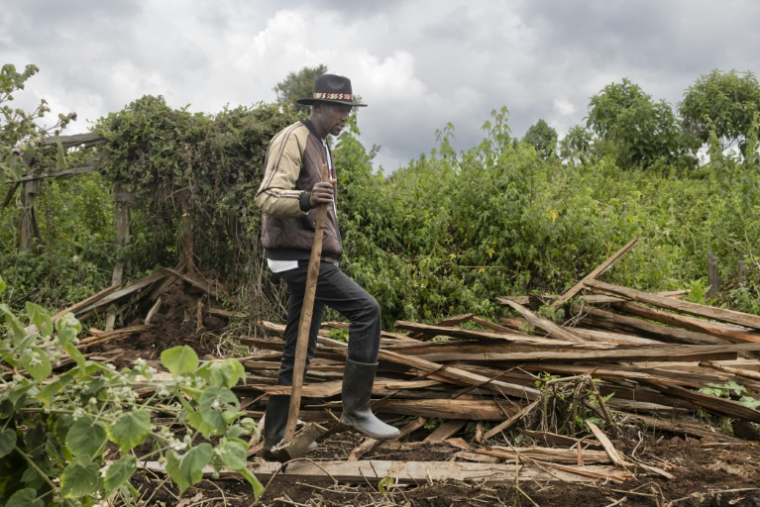 Fred Ngusilo, militant des droits humains de la communauté Ogiek, fouille les débris de sa maison familale dans la forêt de Mau, dans le comté de Narok, le 16 août 2025 au Kenya ( AFP / Tony KARUMBA )