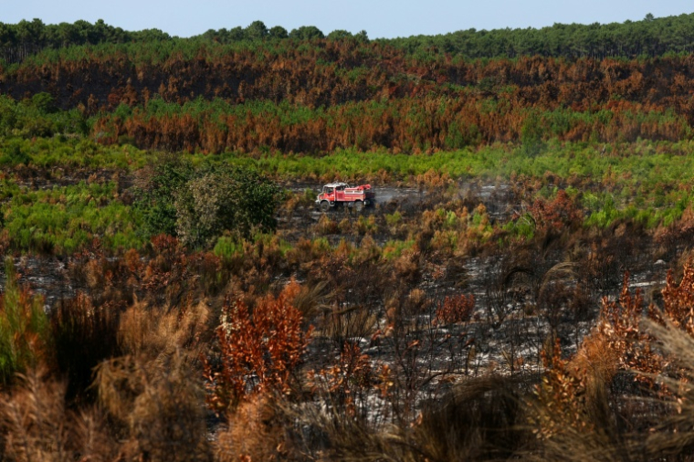 Un véhicule de pompiers au milieu d'une végétation en partie détruite par un incendie à Lège-Cap-Ferret, en Gironde, le 1er août 2026  ( AFP / ROMAIN PERROCHEAU )