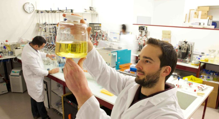 Deinove a suspendu son programme de production de bioéthanol. (© Deinove)