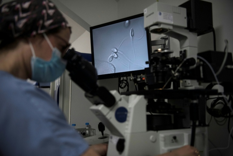 Sélection des spermatozoïdes à traiter pour une procédure de procréation médicalement assistée (PMA) au centre de fertilité du Groupe Hospitalier Diaconesses Croix Saint-Simon, à Paris, le 25 octobre 2022 ( AFP / JULIEN DE ROSA )