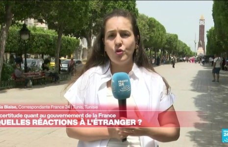Législatives françaises : Tunisie, Côte d'Ivoire... quelles réactions au lendemain des résultats ?