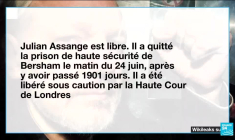 Julian Assange "libre" après un accord avec la justice américaine, annonce WikiLeaks