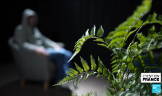 Violences dans le périscolaire : les parents face à l’insoutenable