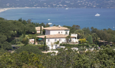 IFI, nombre de déclarants et recettes en hausse-iStock-lilly3