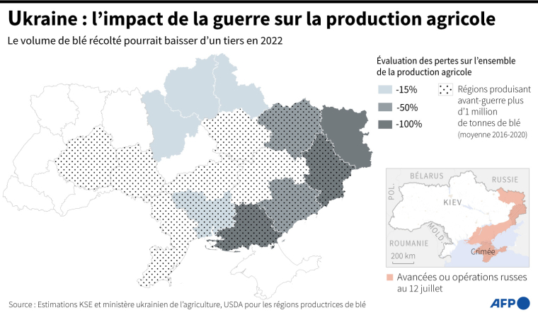 Carte montrant l'impact estimé de la guerre sur la production agricole, en particulier dans les régions qui produisaient le plus de blé avant l'invasion russe ( AFP / )