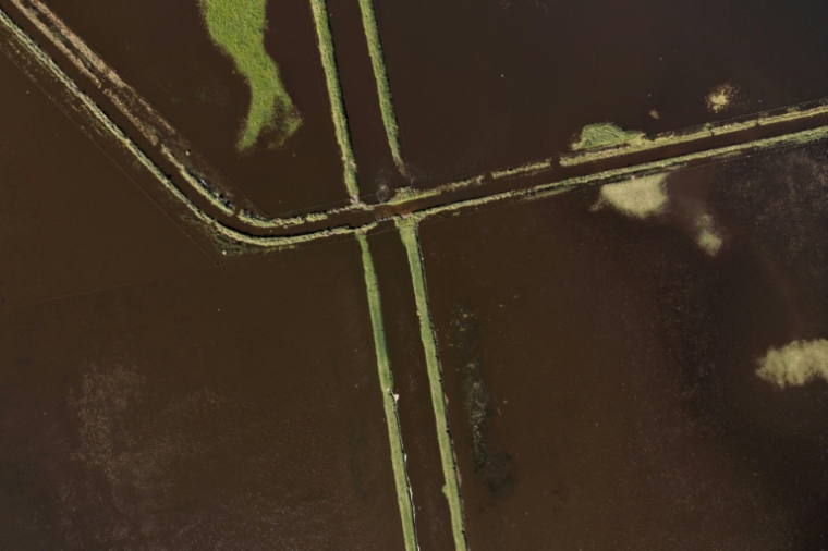 Un champ inondé en raison de fortes pluies à 9 de Julio, dans la province de Buenos Aires, en Argentine, le 5 novembre 2025. ( AFP / Luis ROBAYO )