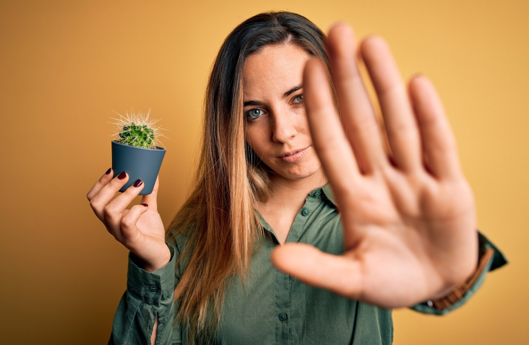 (Les cactus de la conso ont rendu leur verdict : les résultats vont-ils influencer vos achats ? - Crédit photo : Adobe Stock)