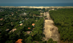 Une ligne de pare-feu près de Lège-Cap-Ferret, à l'ouest de Bordeaux, le 29 juillet 2026 ( AFP / Philippe Lopez )
