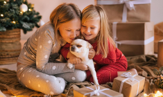 Découvrez notre sélection de calendriers de l’Avent originaux crédit photo : Getty images