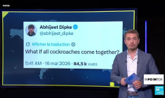 "Parti des cafards" : quand une blague devient un mouvement politique viral
