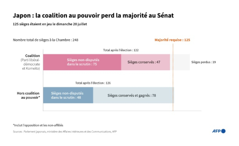 Répartition de sièges à la chambre haute du Parlement au Japon après les élections du 20 juillet 2025 ( AFP / John SAEKI )