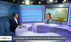 La stratégie ESG de Wavestone est-elle convaincante ?