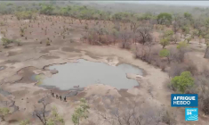 Mwazulu Diyabanza, l'activiste qui milite pour une "restitution directe" du patrimoine africain