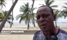 Aux Caraïbes, les sargasses envahissent les plages et pèsent sur le quotidien des habitants