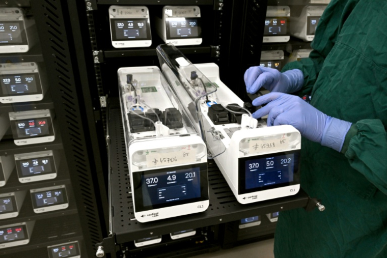 Des neurones cultivés en laboratoire placés dans des serveurs de l'entreprise australienne Cortical Labs à Melbourne, le 5 mai 2026  ( AFP / William WEST )