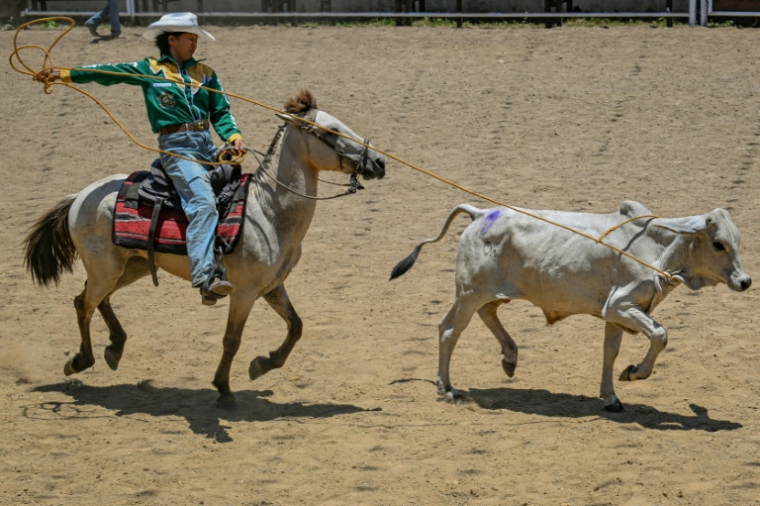 Christel Mae Firme participe à une compétition de rodéo organisée dans la province philippine de Masbate, le 15 avril 2026 ( AFP / Jam STA ROSA )