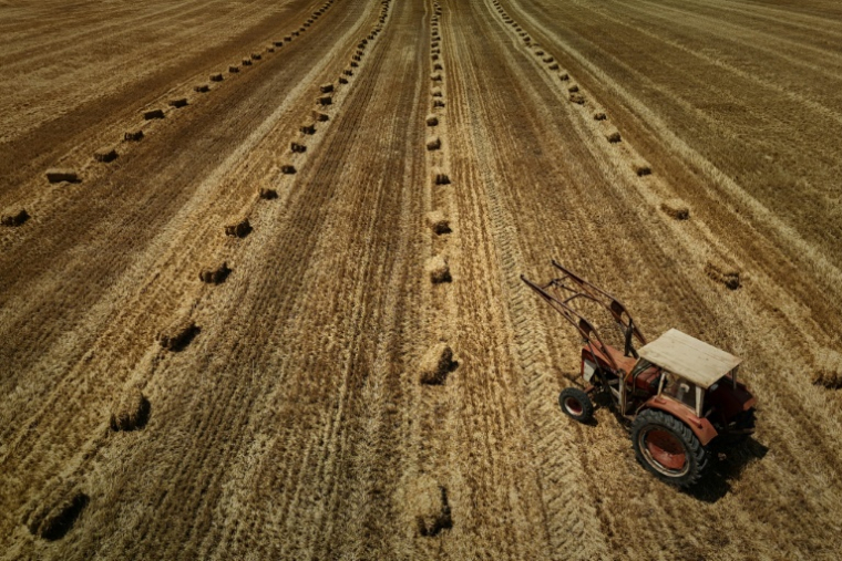 Dans une nouvelle séance crispée, l'Assemblée nationale a adopté dans la nuit de lundi à mardi la loi d'urgence agricole, et la possibilité de réintroduire de manière dérogatoire certains pesticides ( AFP / Philippe LOPEZ )