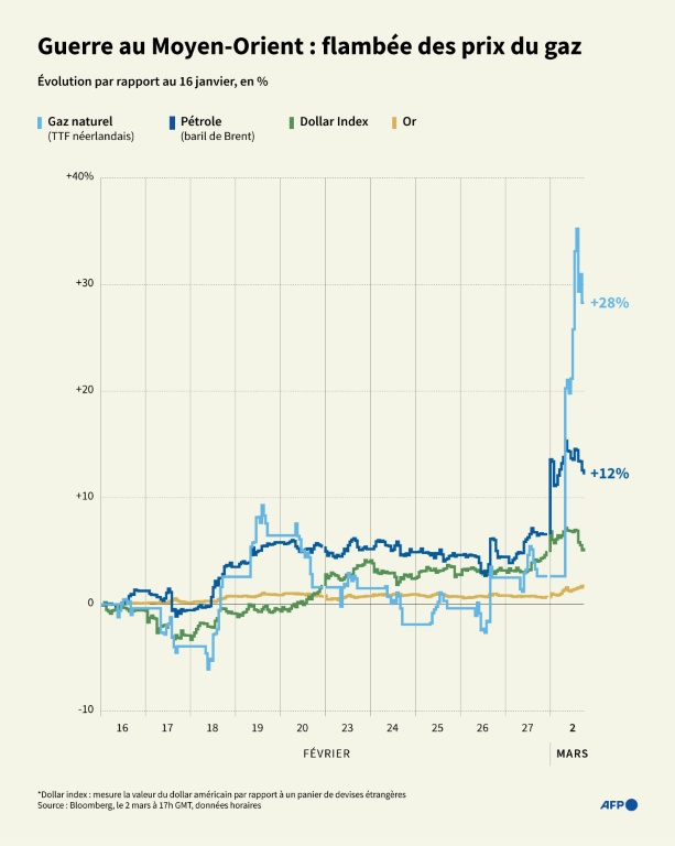 Evolution des cours sur les deux dernières semaines du gaz, du pétrole, du dollar et de l'or ( AFP / Sabrina BLANCHARD )