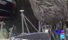 Brexit : en Ecosse, les indépendantistes donnent de la voix