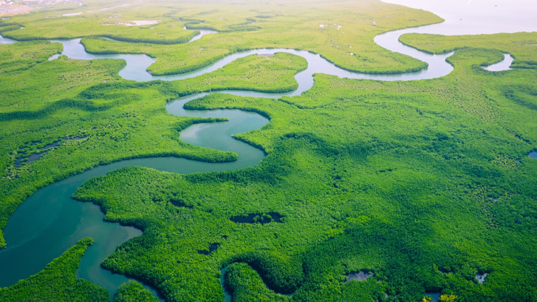 biodiversite