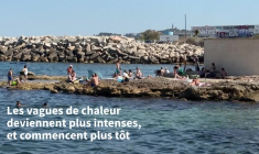 Canicule marine: à Marseille la mer à 27°, "même pas rafraîchissante"