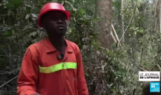 Le Gabon veut limiter sa dépendance au pétrole par l'exploitation durable du bois