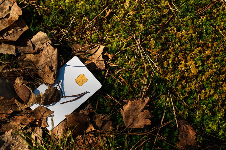 (Crédits photo : Adobe Stock - Carte bancaire et environnement)