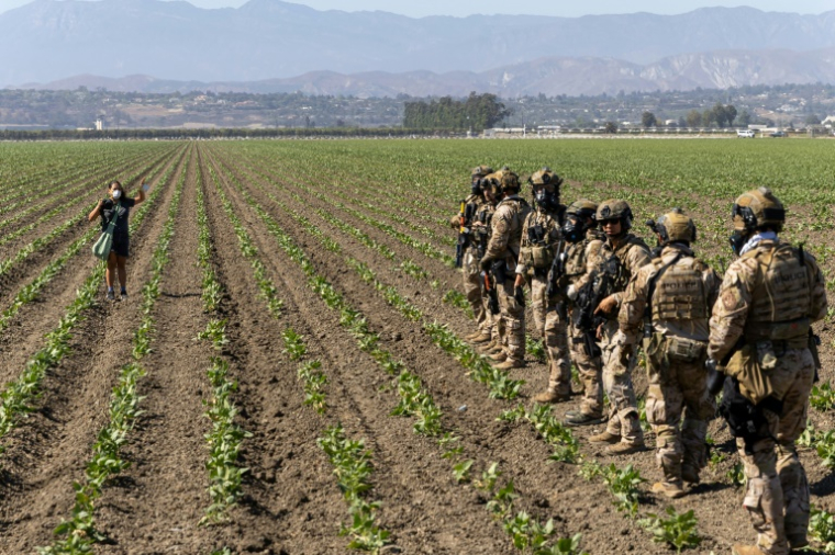 Une femme fait face à des agents fédéraux lors d'une descente de la police de l'immigration à Camarillo, en Californie, le 10 juillet 2025 ( AFP / BLAKE FAGAN )