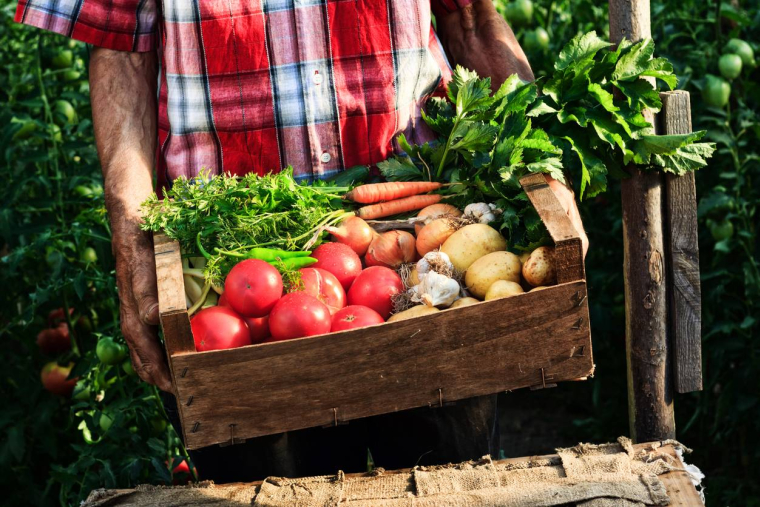 La Ruche qui dit oui ! ouvre son premier magasin - iStock-valentinrussanov