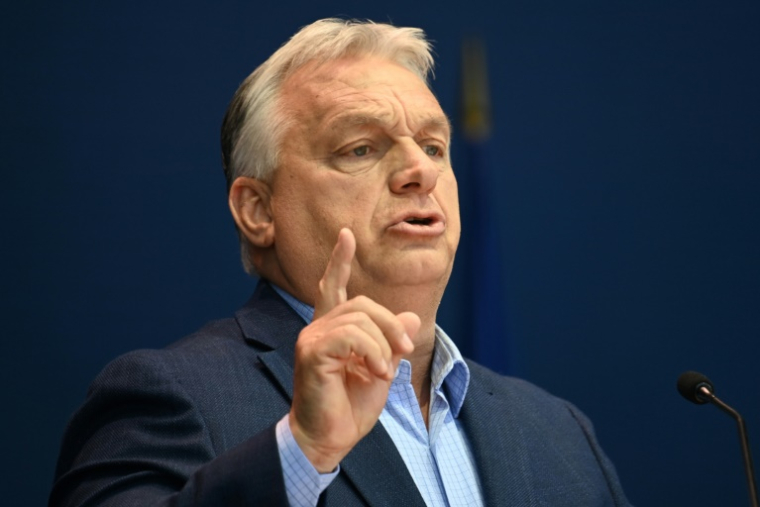 du groupe Patriotes pour l'Europe au Parlement européen, réunissant des dirigeants européens d'extrême droite, à Mormant-sur-Vernisson, le 9 juin 2025 dans le Loiret ( AFP / JEAN-FRANCOIS MONIER )