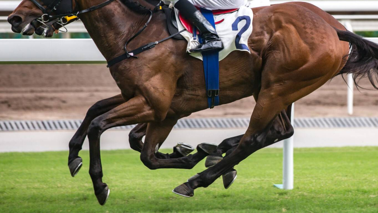Investir dans un cheval de course, est-ce rentable ? / iStock.com - Wirestock
