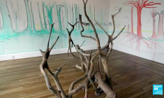 Le Paris des Arts de Yann Arthus-Bertrand