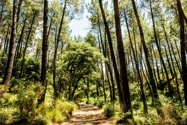 GFI, une épargne responsable et des avantages fiscauxiStock-DEBOVE SOPHIE