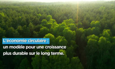 Qu’est-ce que l’économie circulaire ?
