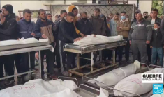 Gaza : 29 bébés prématurés évacués de l'hôpital Al-Chifa