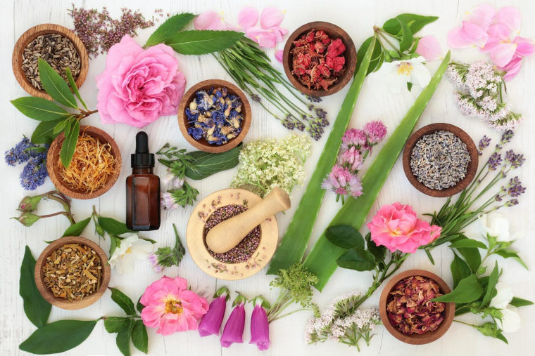 Les bienfaits des plantes sur la santé sont nombreux crédit photo : Getty images