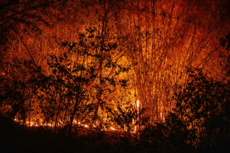 Un feu de forêt près de la Chiang Mai, la deuxième ville de Thaïlande, le 1er avril 2026 ( AFP / ANTHONY WALLACE )