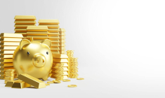 Taxe Zucman : qu'est-ce que c'est et existe-t-elle ailleurs qu'en France ? / iStock.com - FeelPic