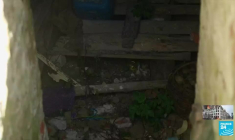 Ukraine : des jeunes bénévoles aident à reconstruire le village de Lukashivka