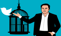 Twitter, le joujou de Musk qui valait 44 milliards