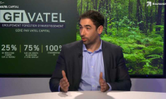 Investir dans les forêts avec le GFI Vatel Capital
