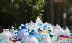 Ce partenariat est une bonne nouvelle pour Carbios qui conforte ainsi sa feuille de route sur son projet le plus avancé. (crédit : Mali Maeder / Pexels)