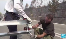 Incendies en Grèce : l'heure du bilan